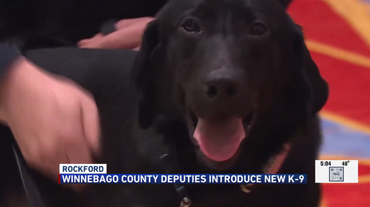 Winnebago Co. Sheriff’s Office welcomes new K-9 officer — WIFR news image